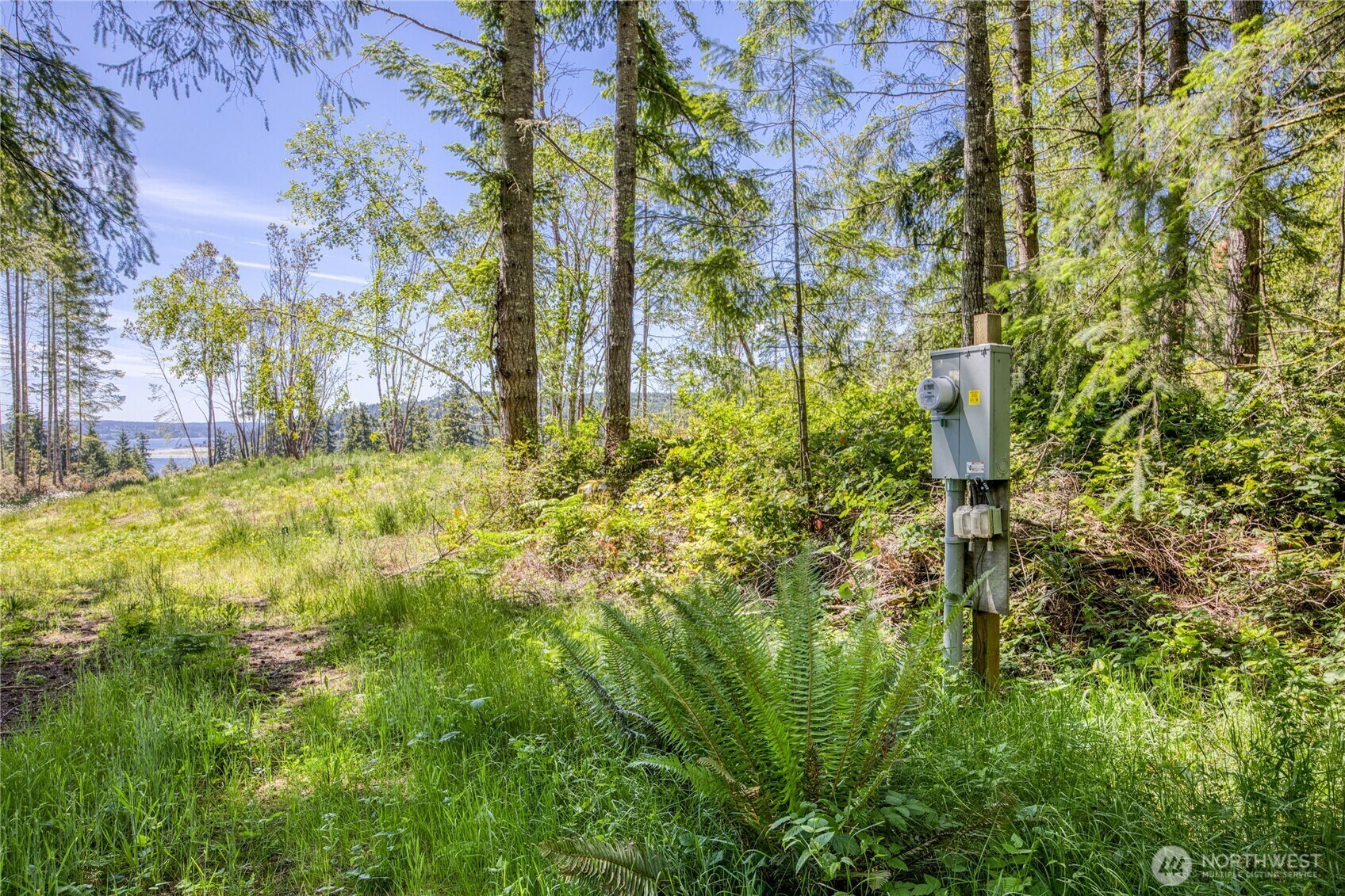 Property Photo:  0  Tract C  Teal Lake Road  WA 98365 