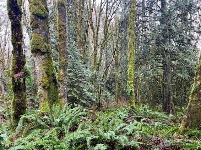 Property Photo:  0 20+Ac  Sackman Lane NE  WA 98370 