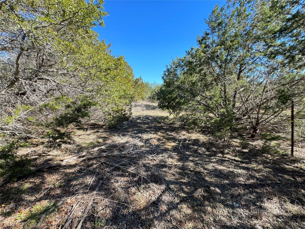 Property Photo: E Gatlin Creek Road TX 78620