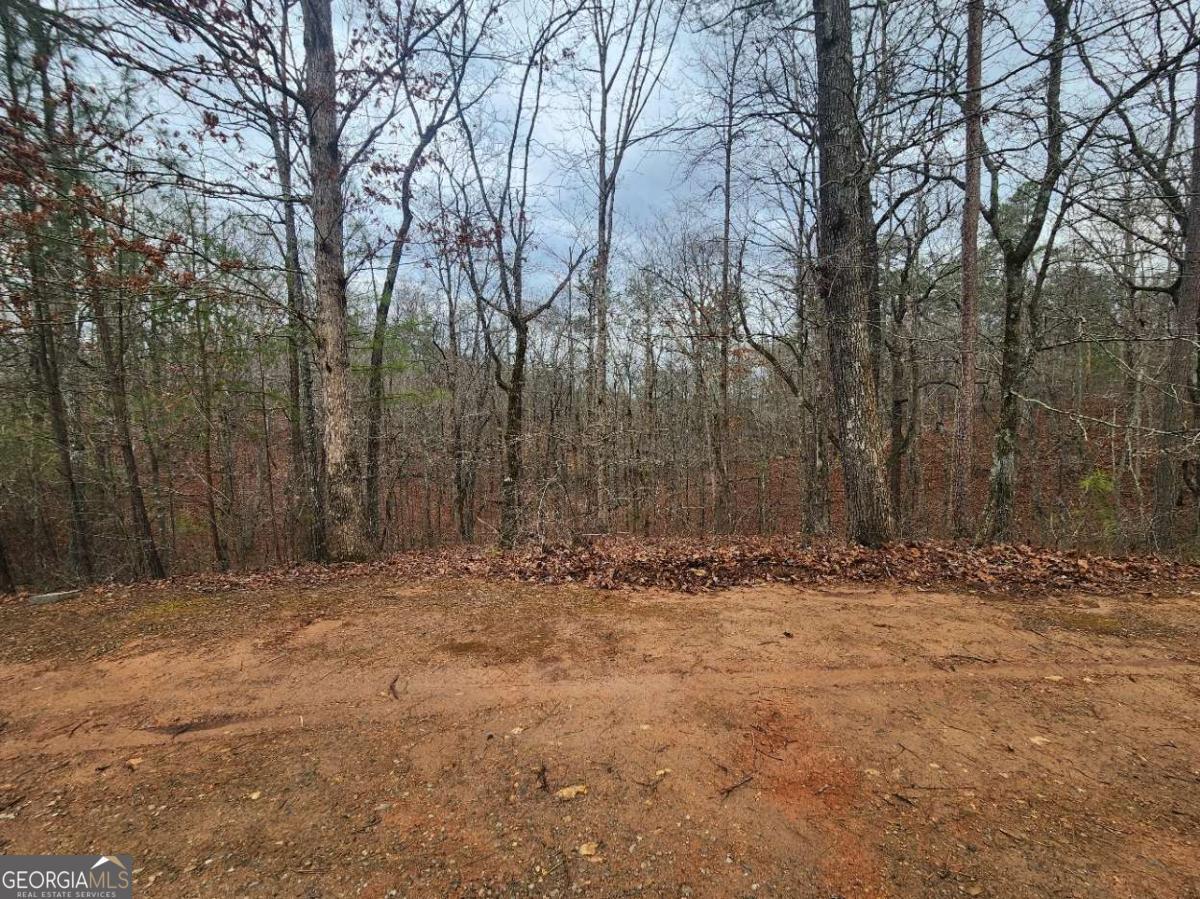 Property Photo: Lot 9 Harris Creek Drive GA 30540