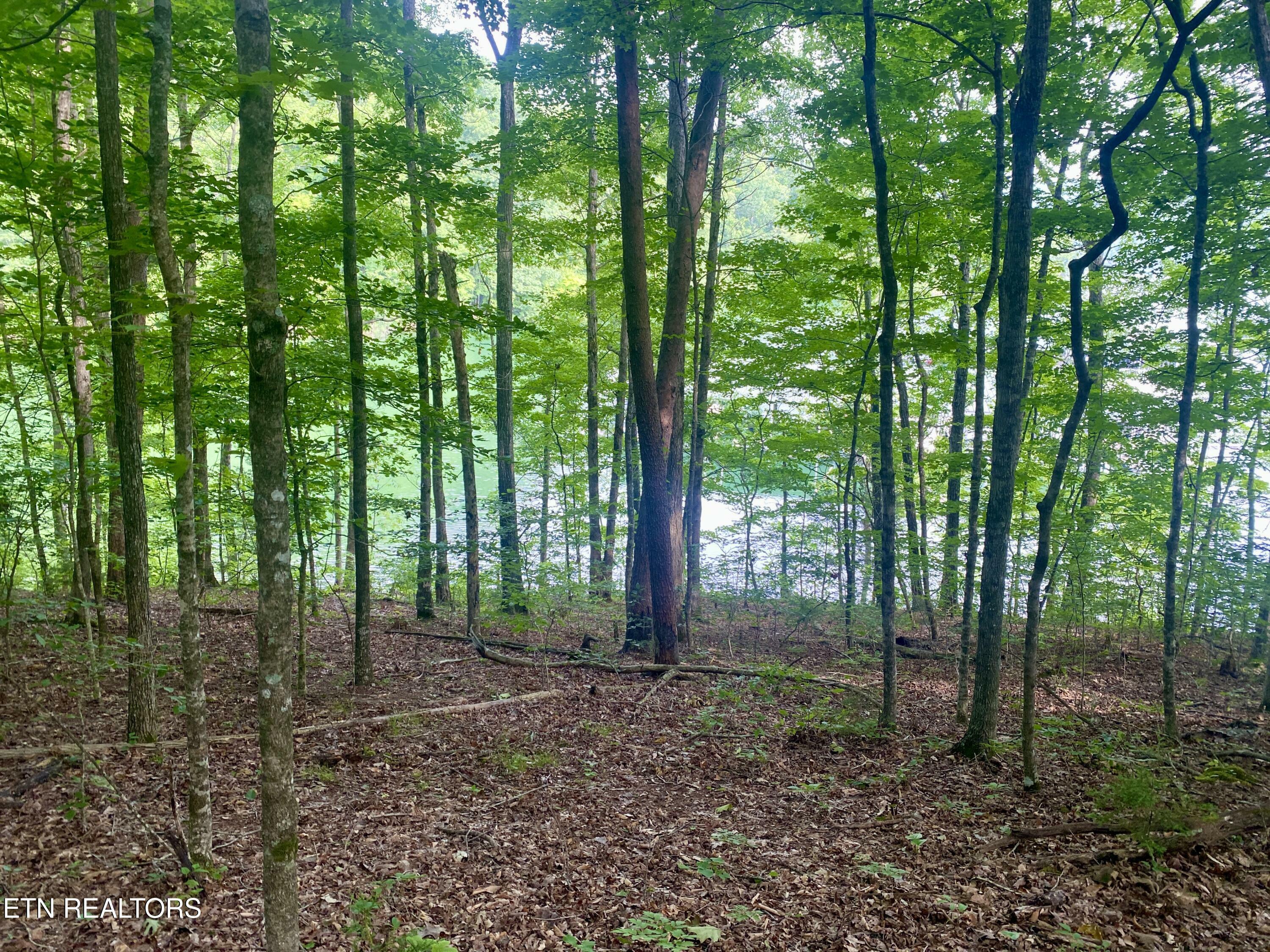 Property Photo:  Lot #130 Hickory Pointe Lane  TN 37807 