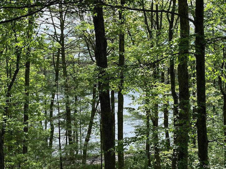 Property Photo:  161 Barker Road  NY 12737 