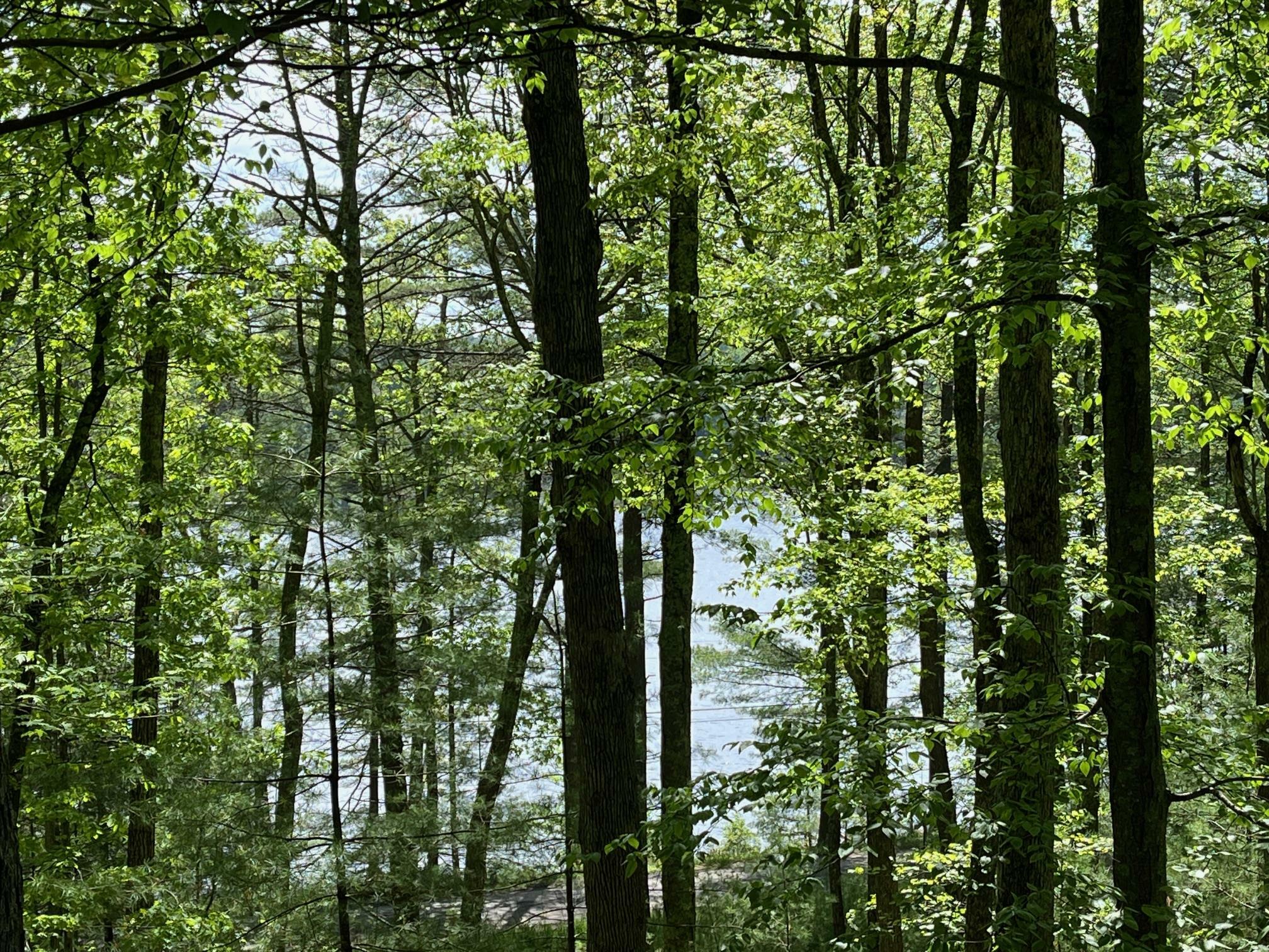 Property Photo: 161 Barker Road NY 12737