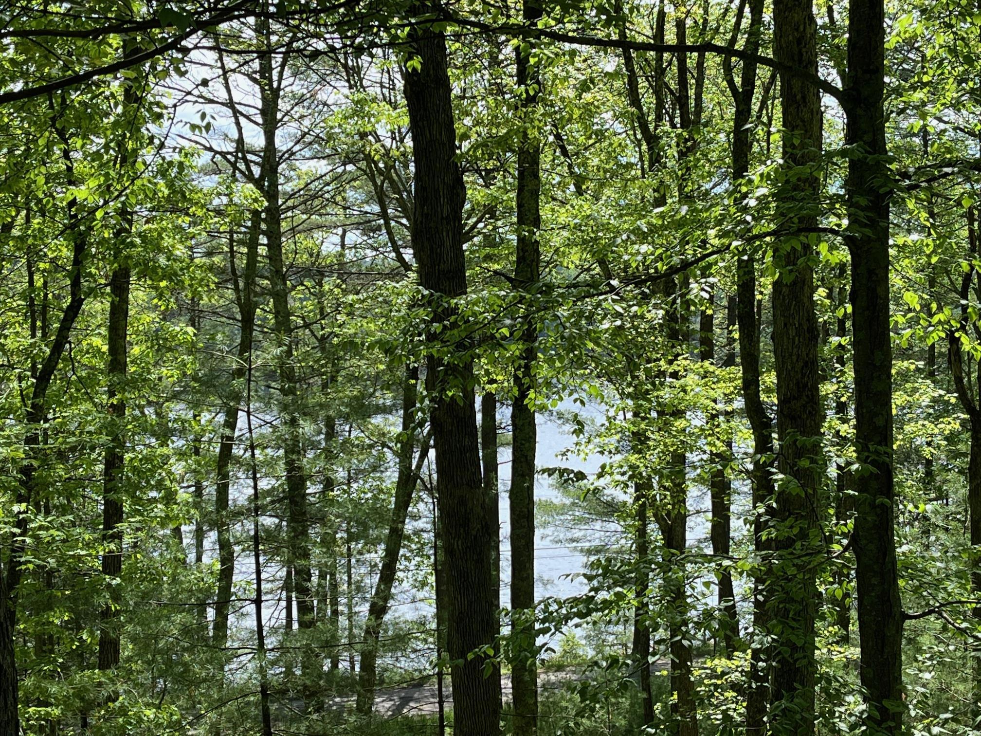Property Photo: 161 Barker Road NY 12737