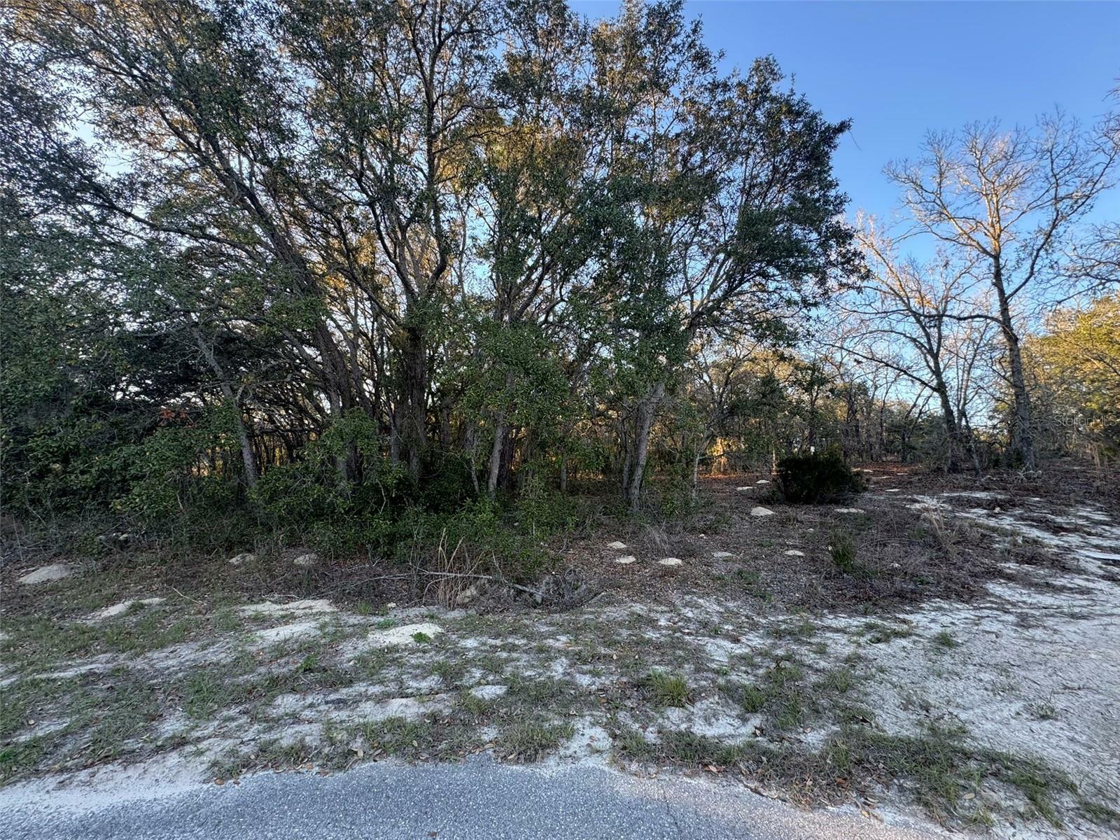 Property Photo:  0 SW 147th Street Road  FL 34473 