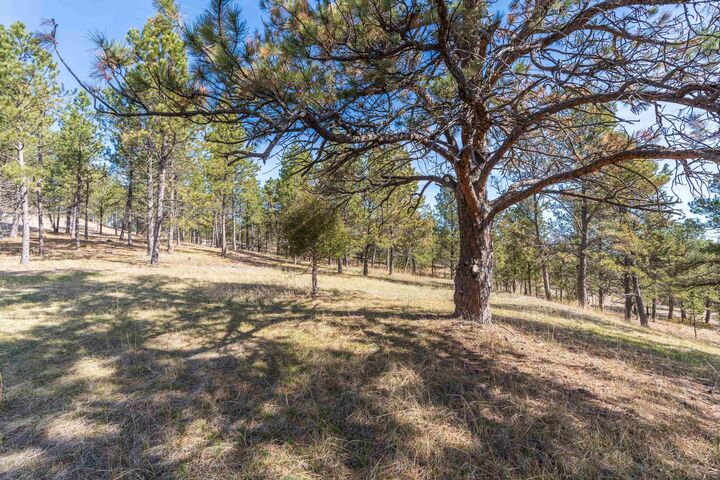 Property Photo:  Parcel 6B Saddle Ridge Road  SD 57744 