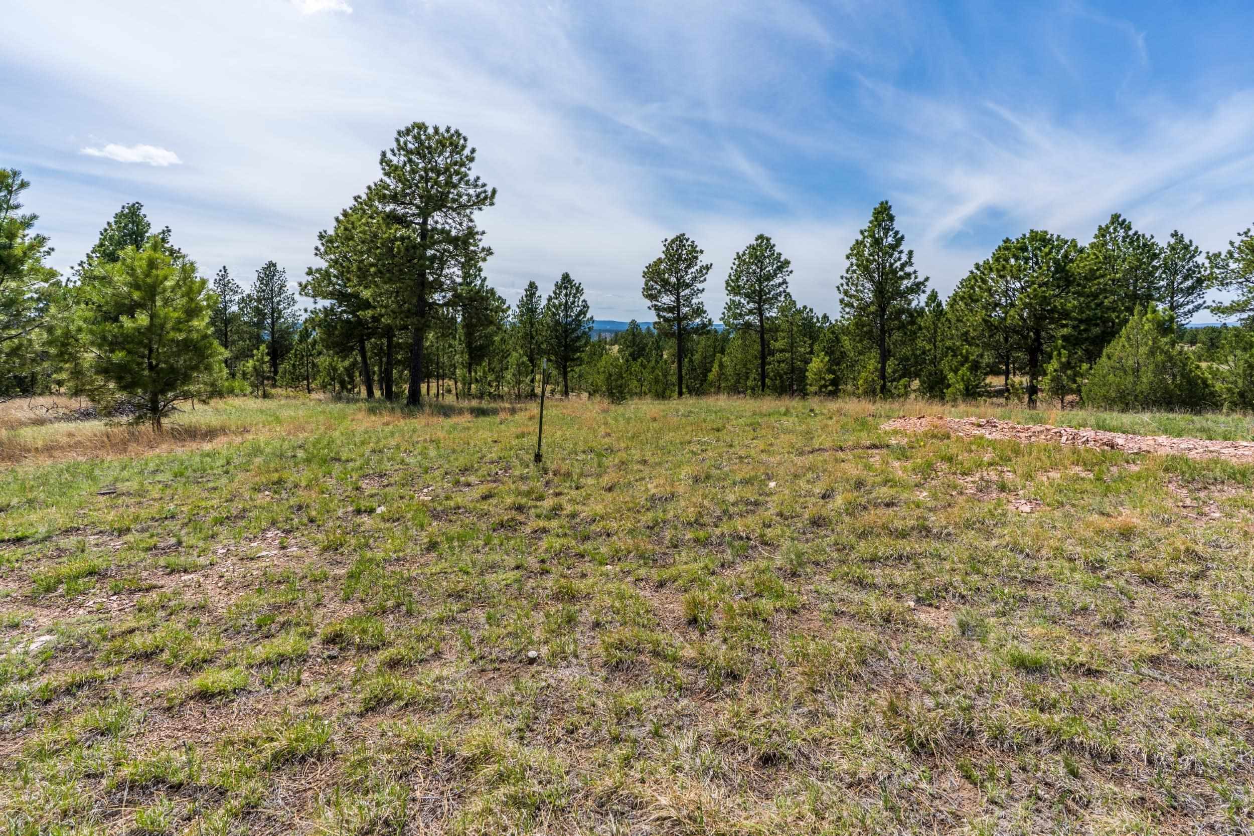 Property Photo: 26771 Elk Run Road SD 57747