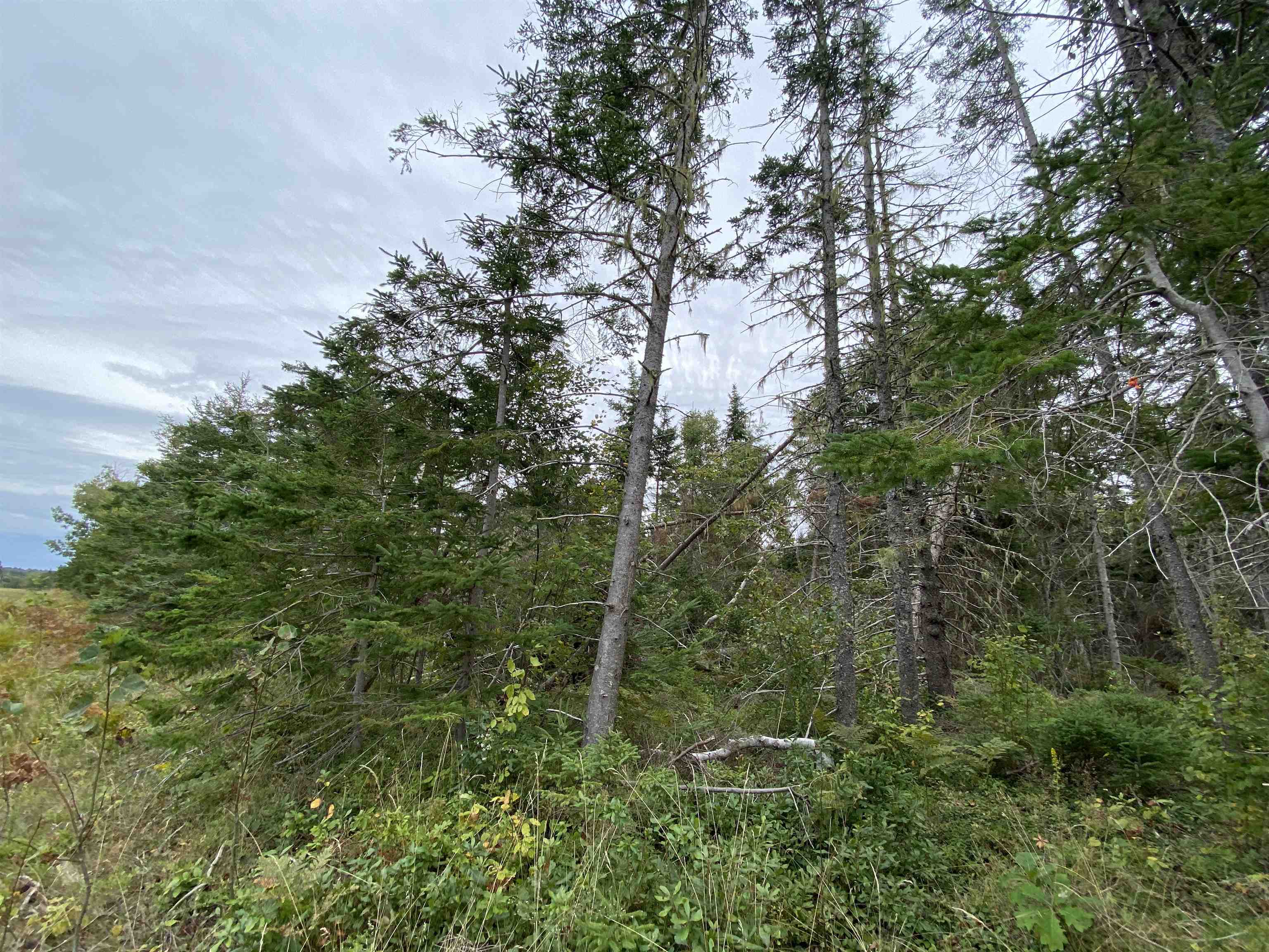 Photo de la propriété: Lot 3 Floating Bridge Road PE C0A 1W0