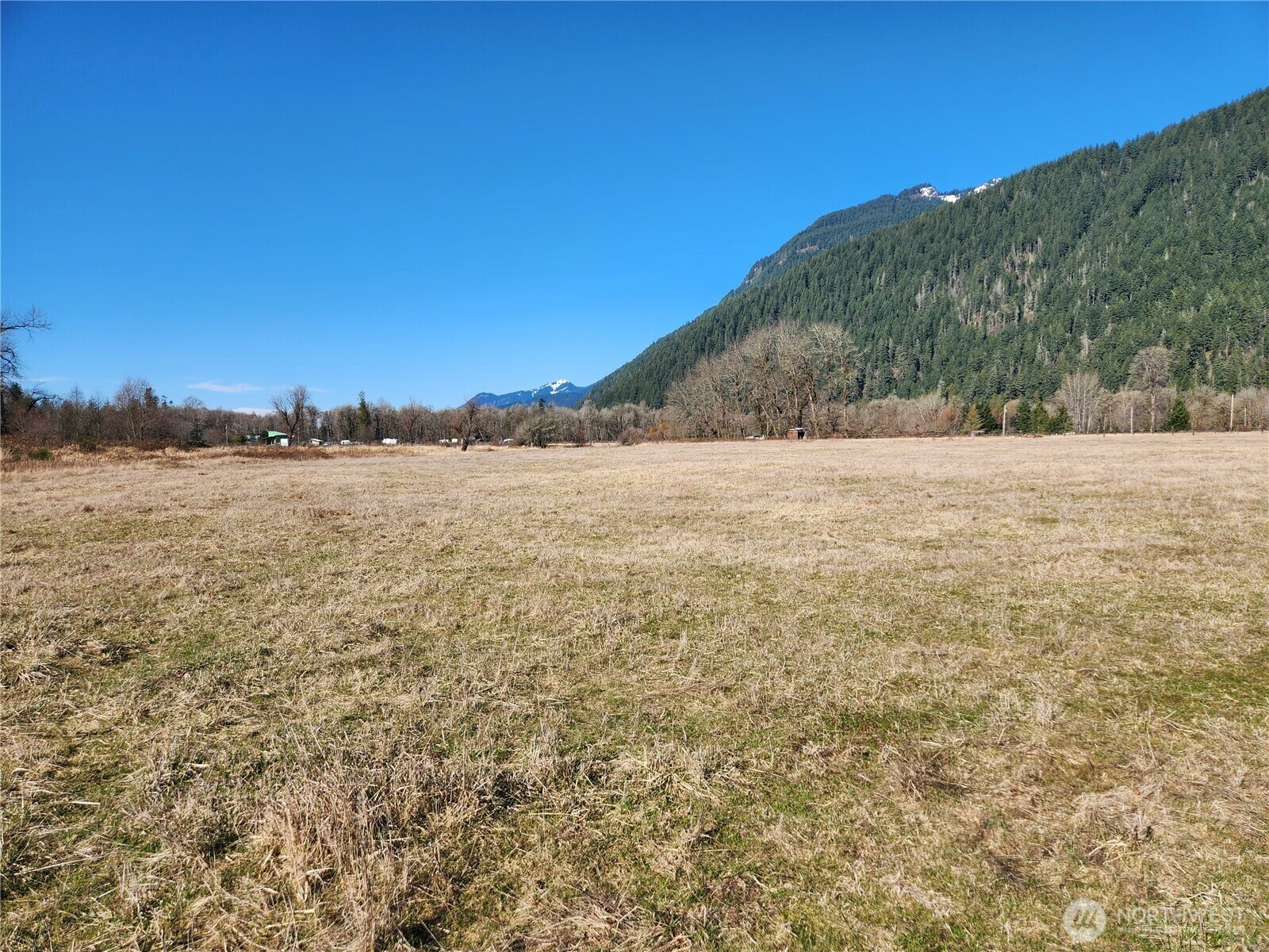 Property Photo:  112  Horseshoe Lane  WA 98593 