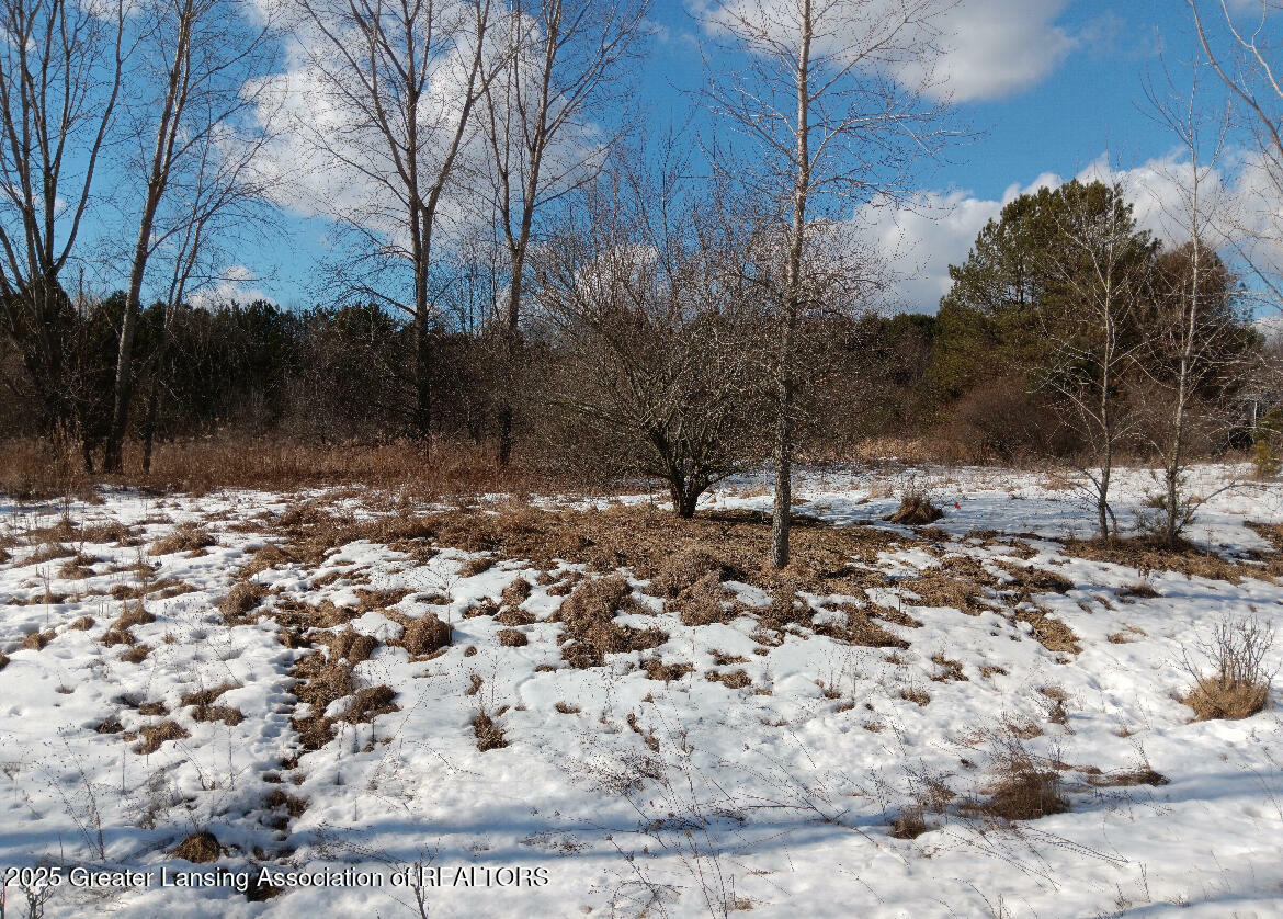 Property Photo:  38 Bennington Greens  MI 48867 