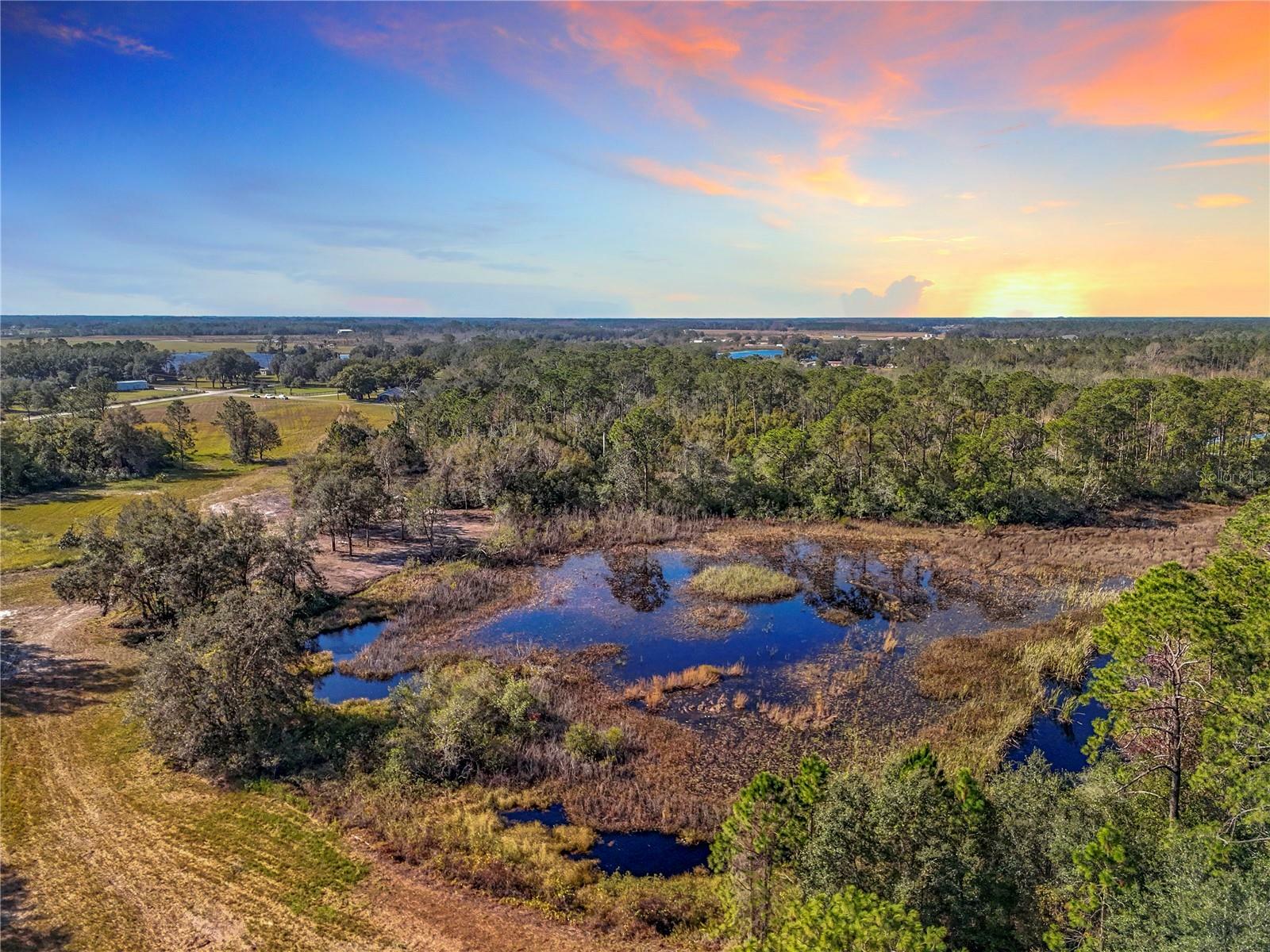 Pine Island Road  Clermont FL 34711 photo