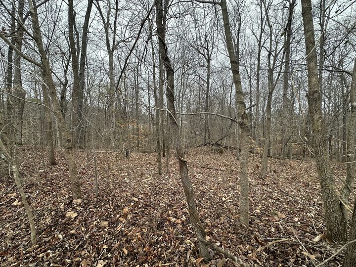 Property Photo: 9 Ginger Drive TN 37058