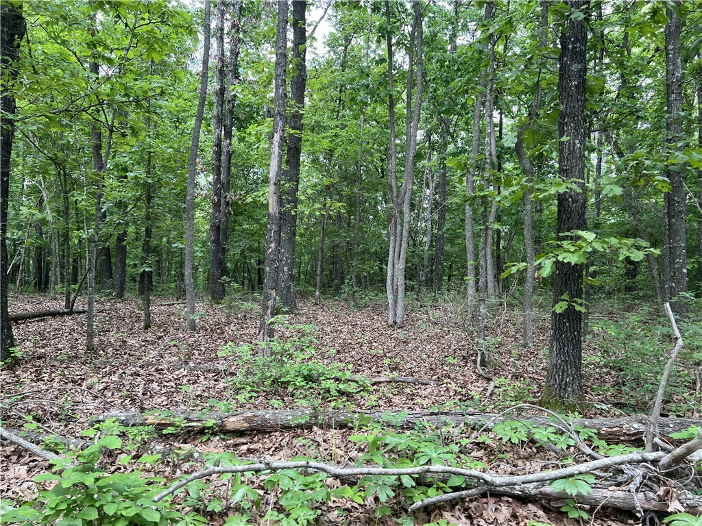 Tract W Off Of Meadow Creek Drive  Harrison AR 72601 photo