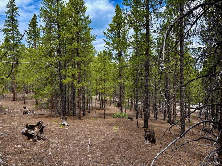 Property Photo:  104 & 124 Mt Massive Road  CO 81251 