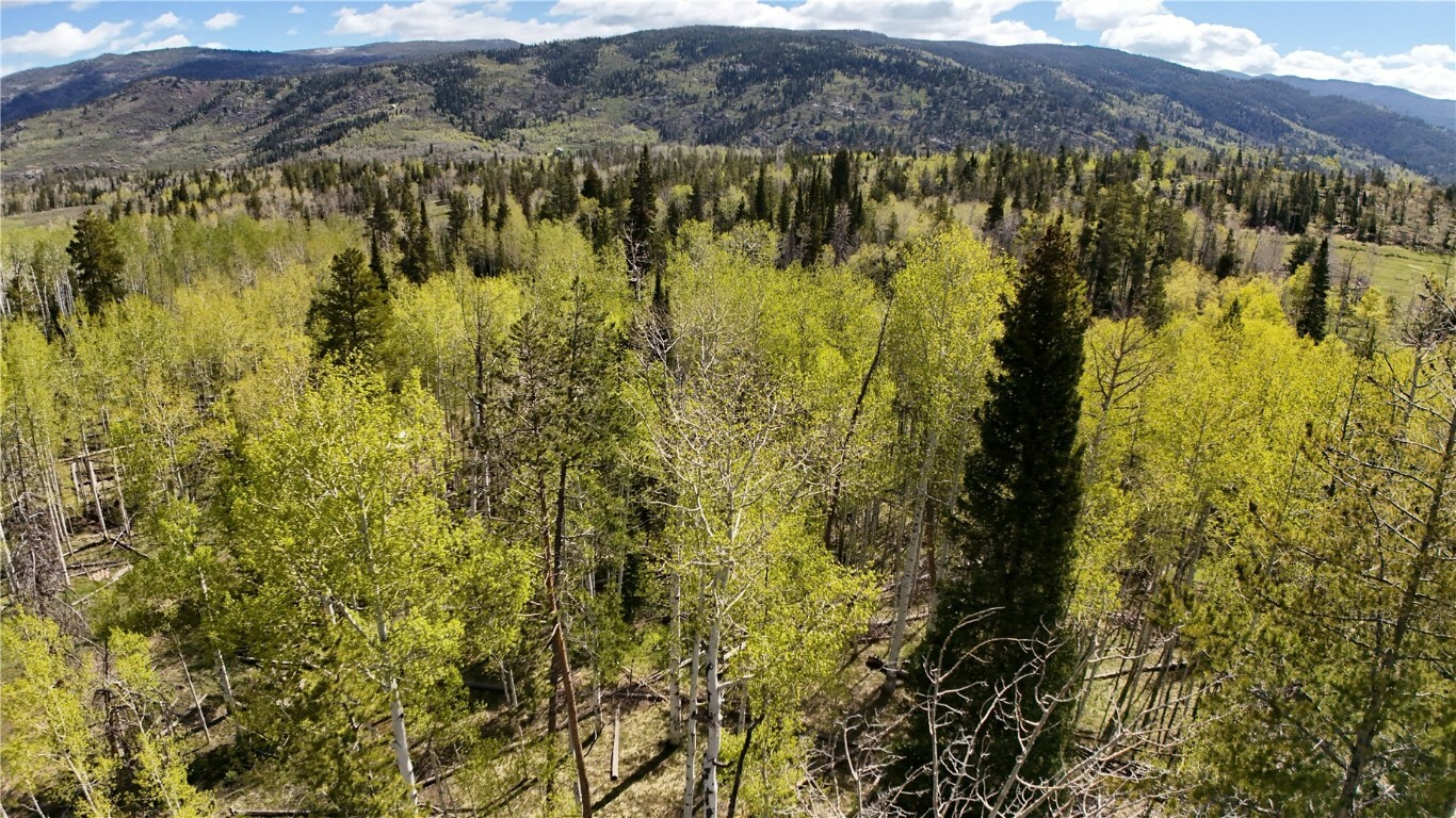 Property Photo:  Lot 98 South Station I  CO 80486 