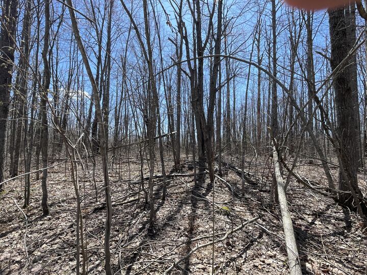 Property Photo: Lot 46 Louise Drive MI 49730