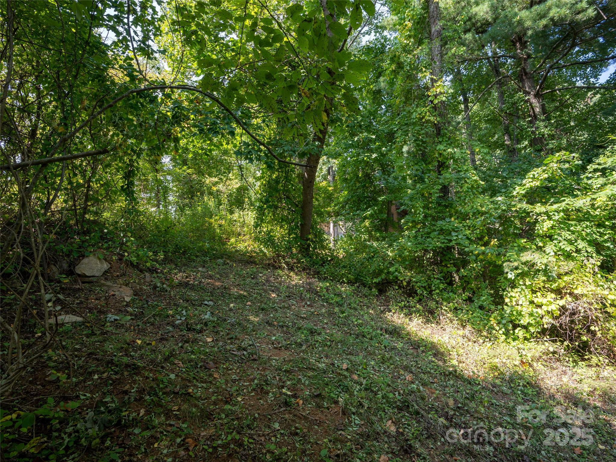 Property Photo:  27 Summit Tower Circle  NC 28804 