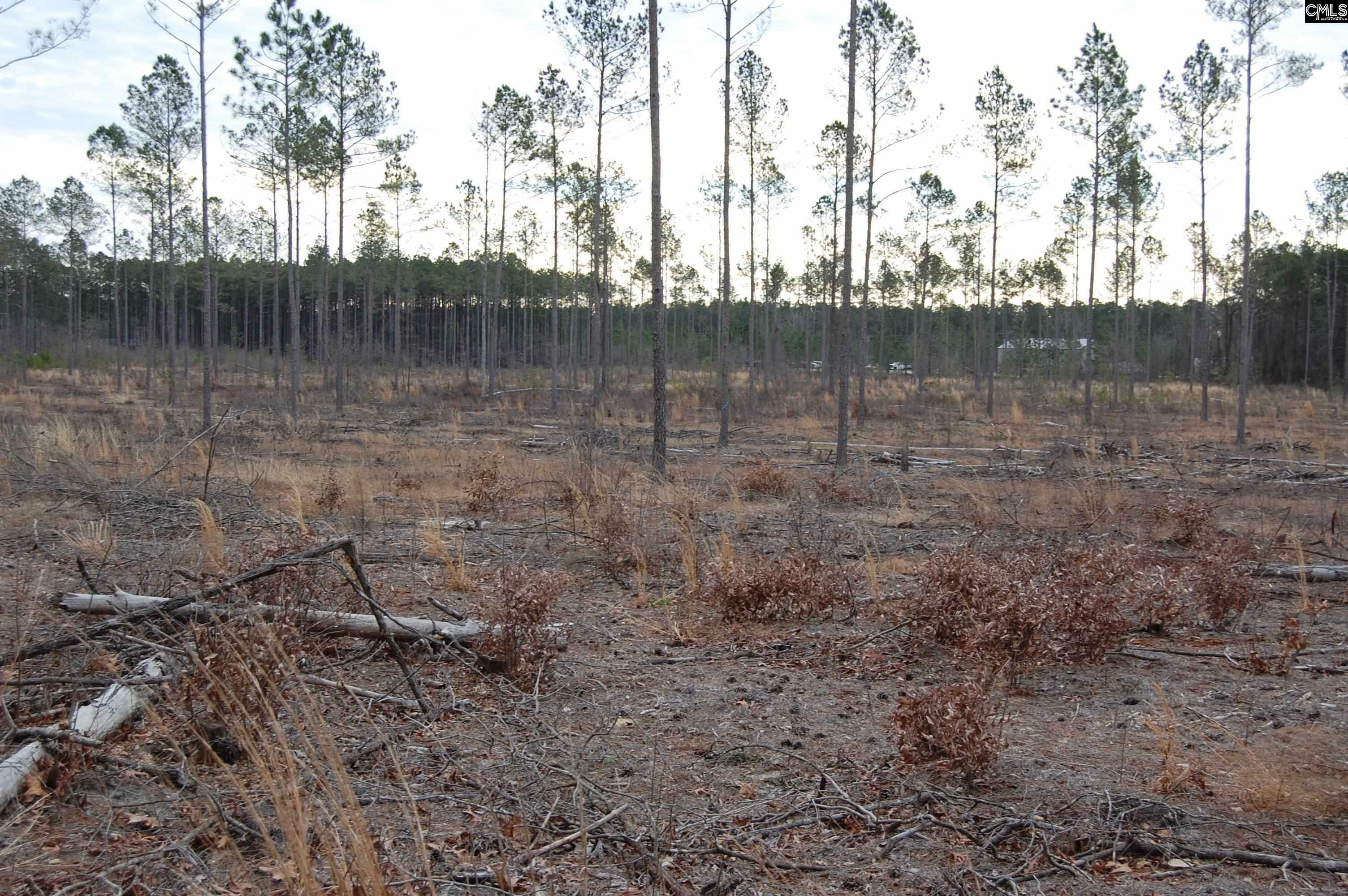Property Photo: 1035 Yarborough SC 29032