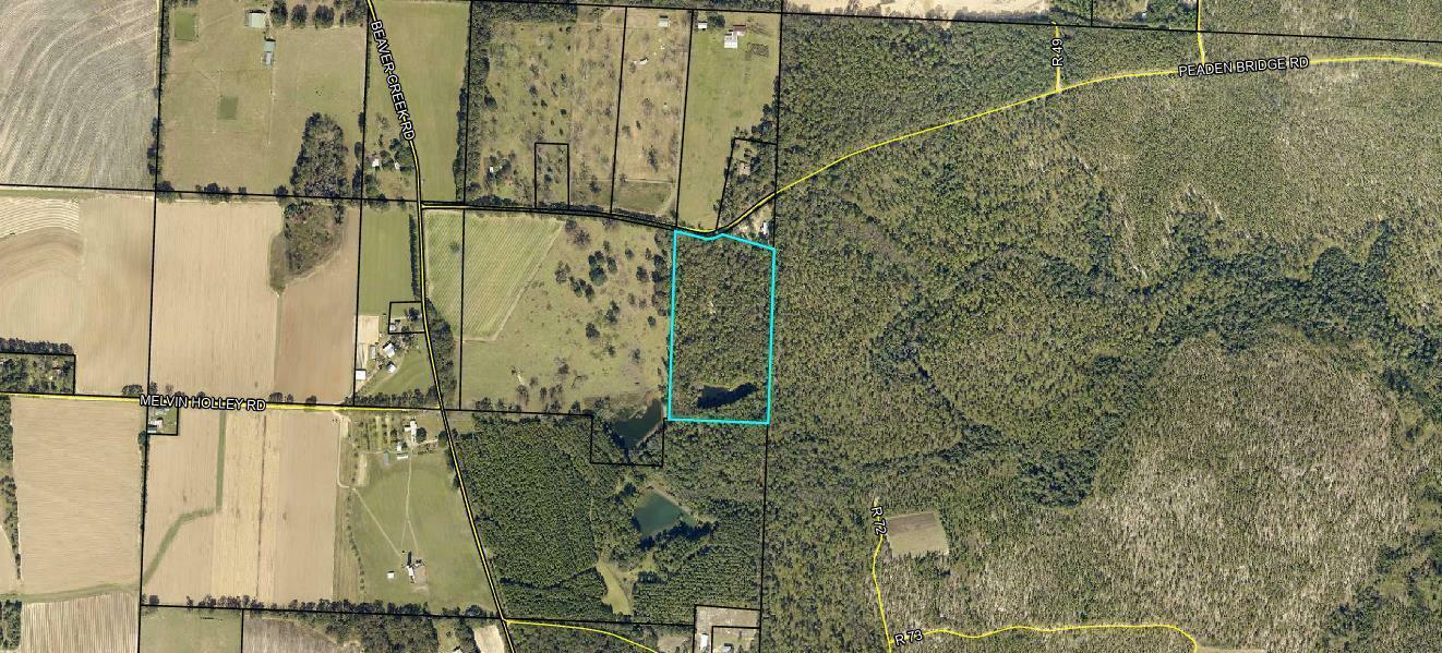 Property Photo:  16.53ac Peaden Bridge Road  FL 32531 