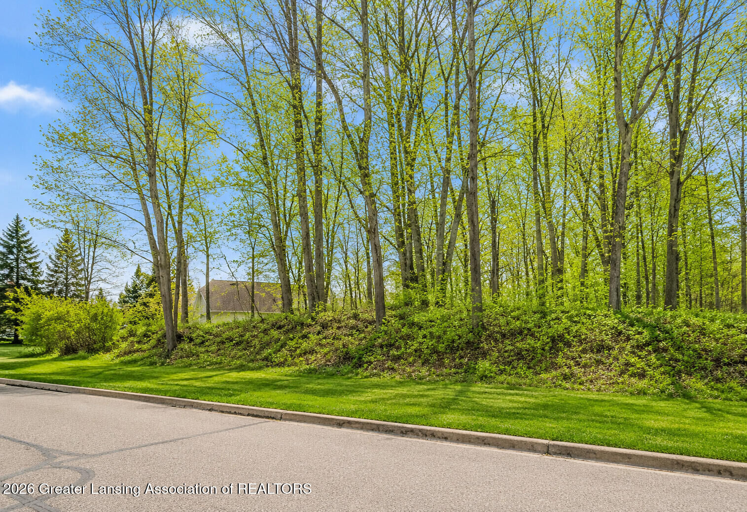 Property Photo:  6285 Heathfield Drive  MI 48823 