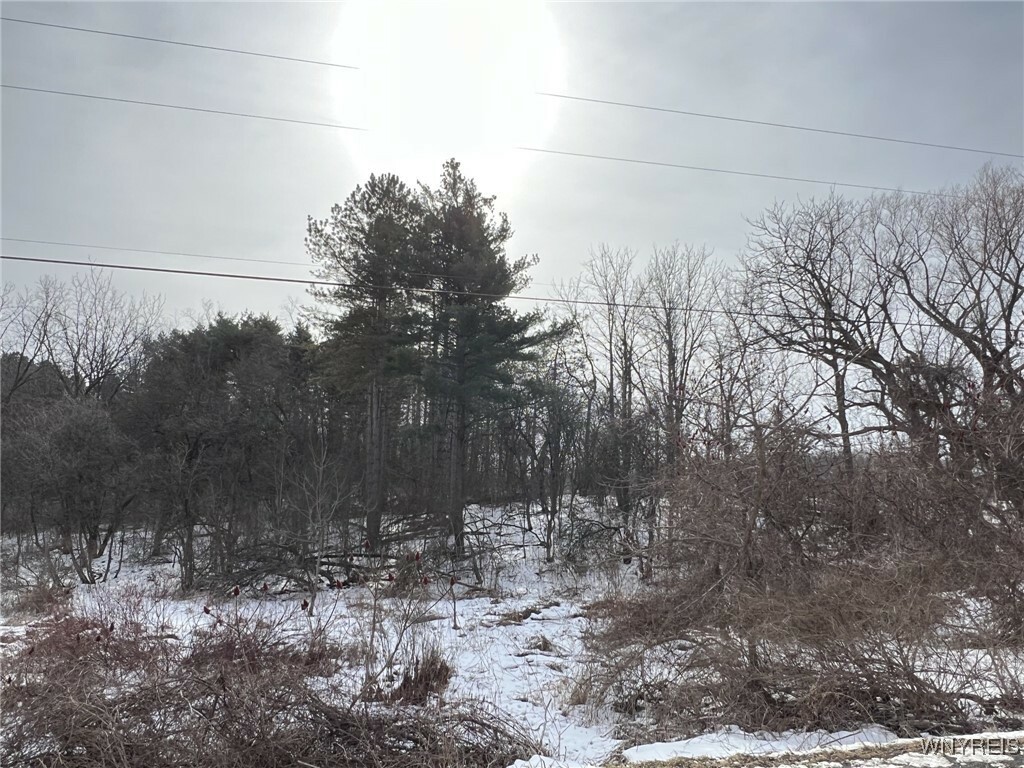 0 W Seneca Lot 1 Road  Trumansburg NY 14886 photo