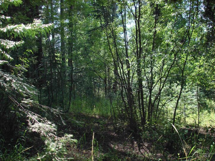 Property Photo: Lot 2 Majestic View Drive ID 83638