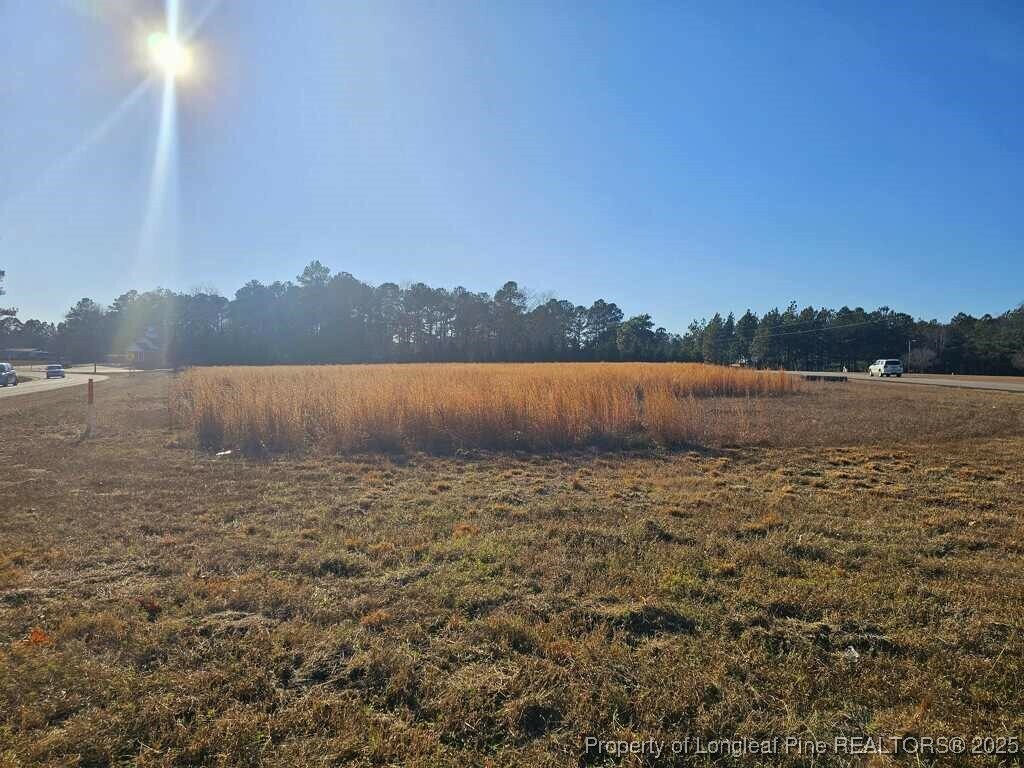 0 Nicholson Road  Sanford NC 27332 photo