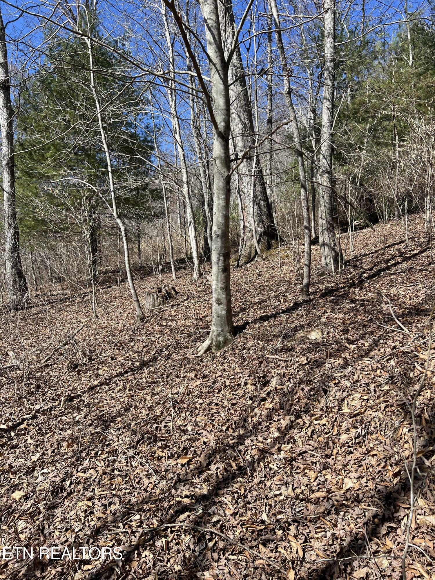 Property Photo:  Ky 204, Happy Hollow  KY 40940 