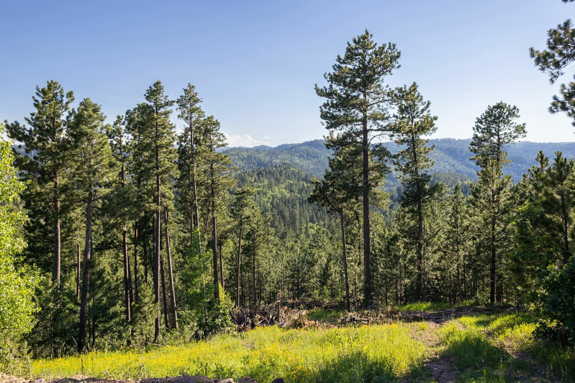 Lot 143 Paradise Gulch Loop  Lead SD 57754 photo