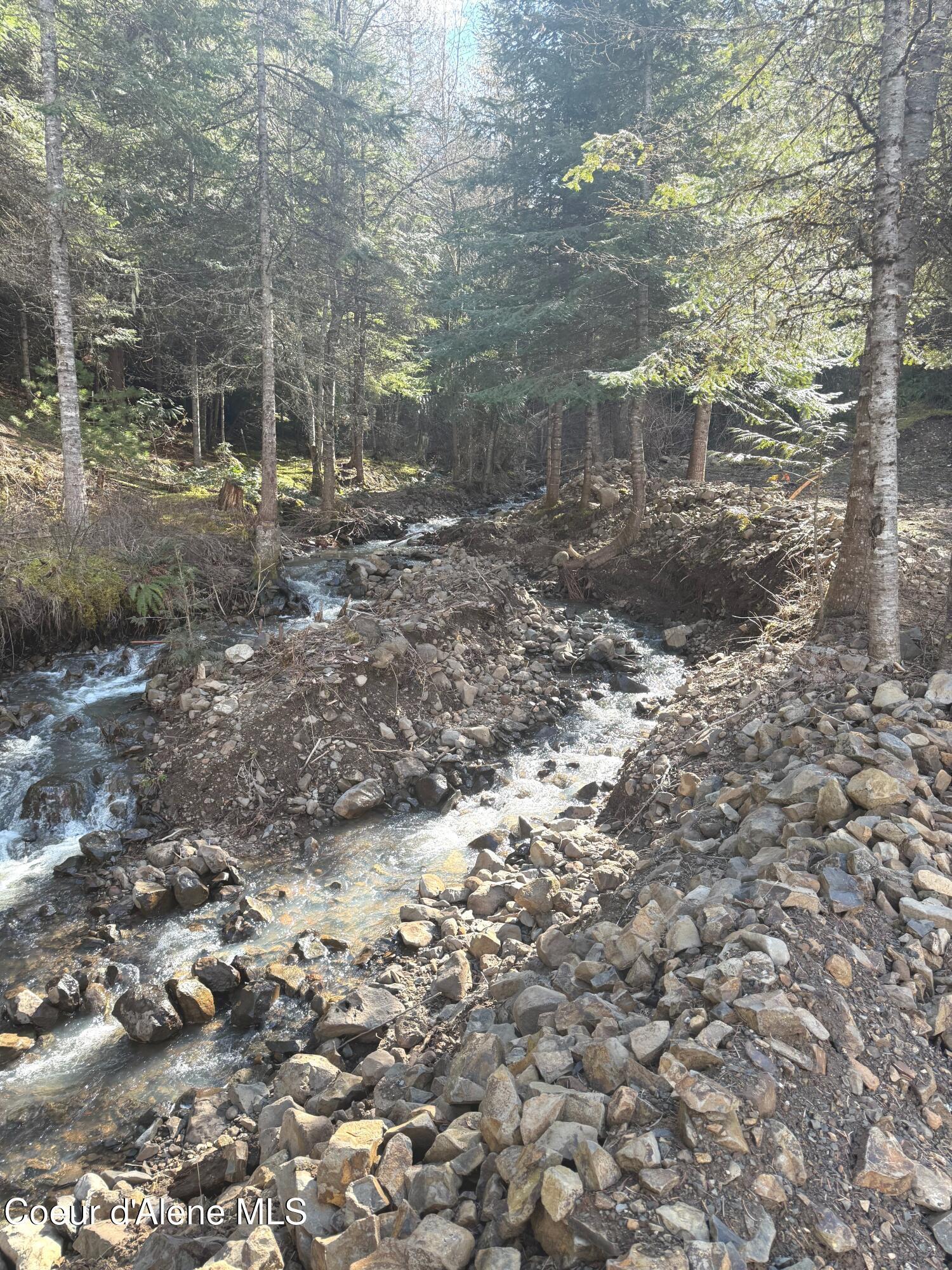 Property Photo: Flying Eagle Lot 19 ID 83833