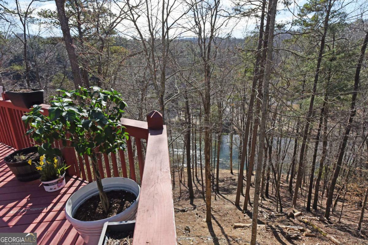 Property Photo: 106 Opaque Way GA 30540