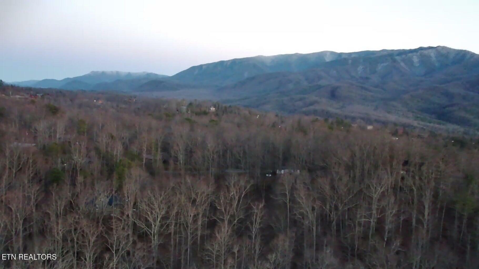 Property Photo: Lot 27 Pinnacle Vista Rd TN 37738