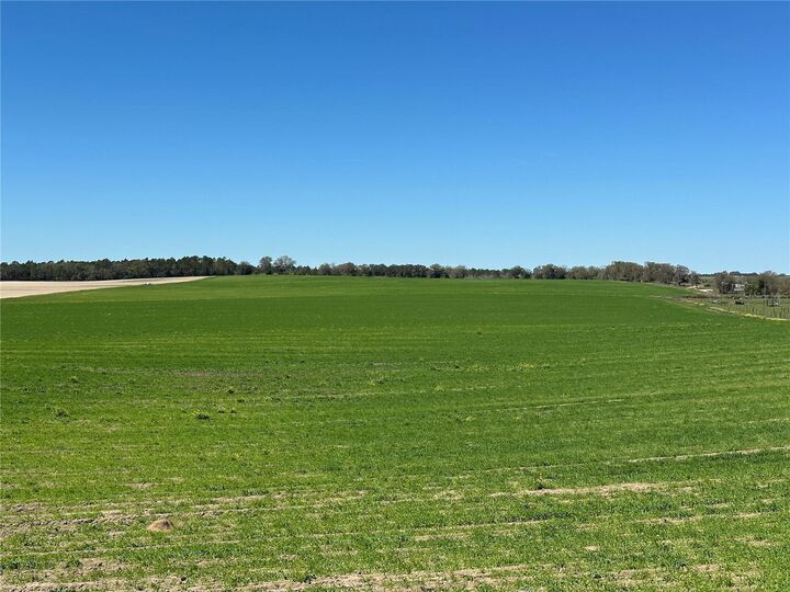 Property Photo:  (190 Ac-See Addt'l Pid's) NW 225th Avenue  FL 34431 