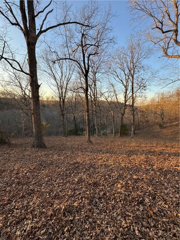 Property Photo:  Tbd Hwy 14 West  AR 72662 