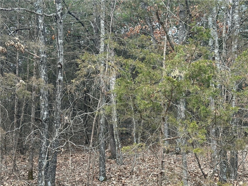 Property Photo:  Lot 8 Blackfoot Lane  AR 72631 