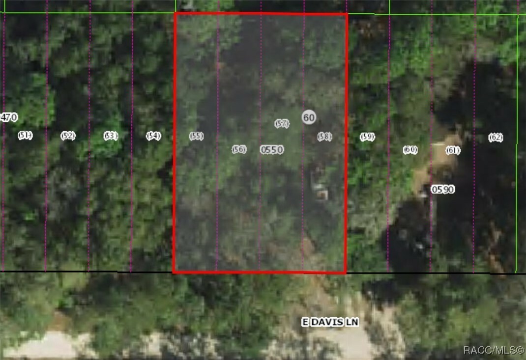 Property Photo: 3157 E Davis Lane FL 34453