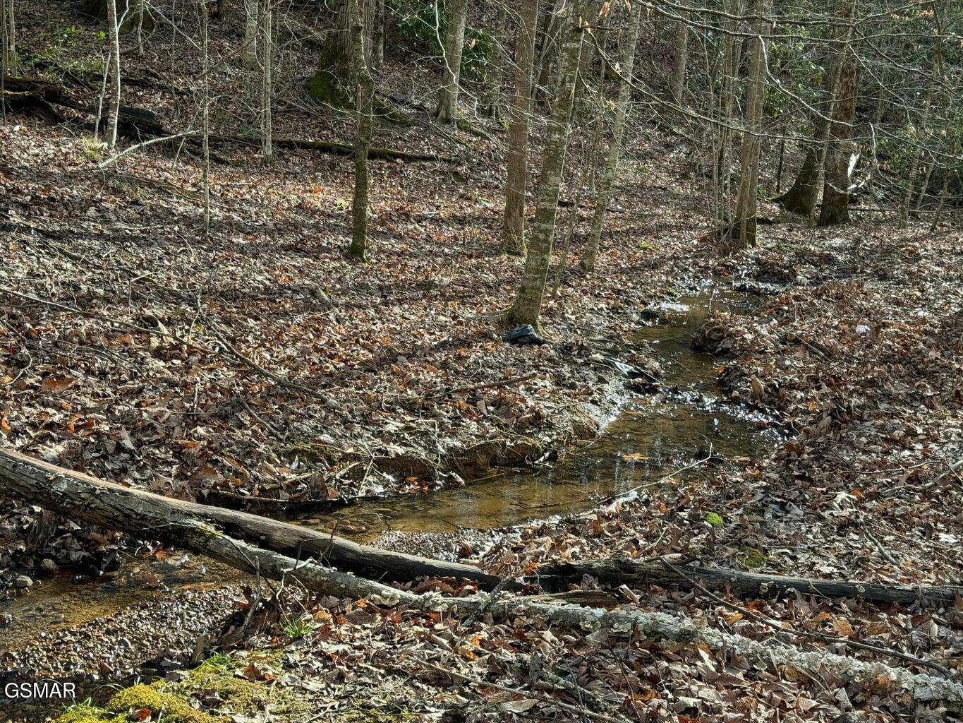 Property Photo: 714 Pinnacle Vista Lot 28 TN 37738