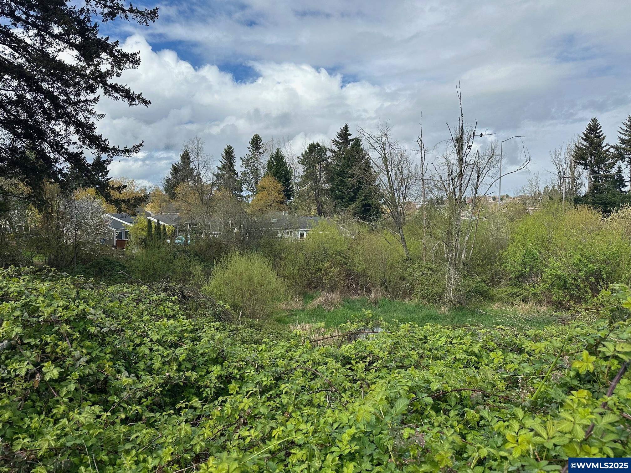 Property Photo: Off Spicetree Ln OR 97306