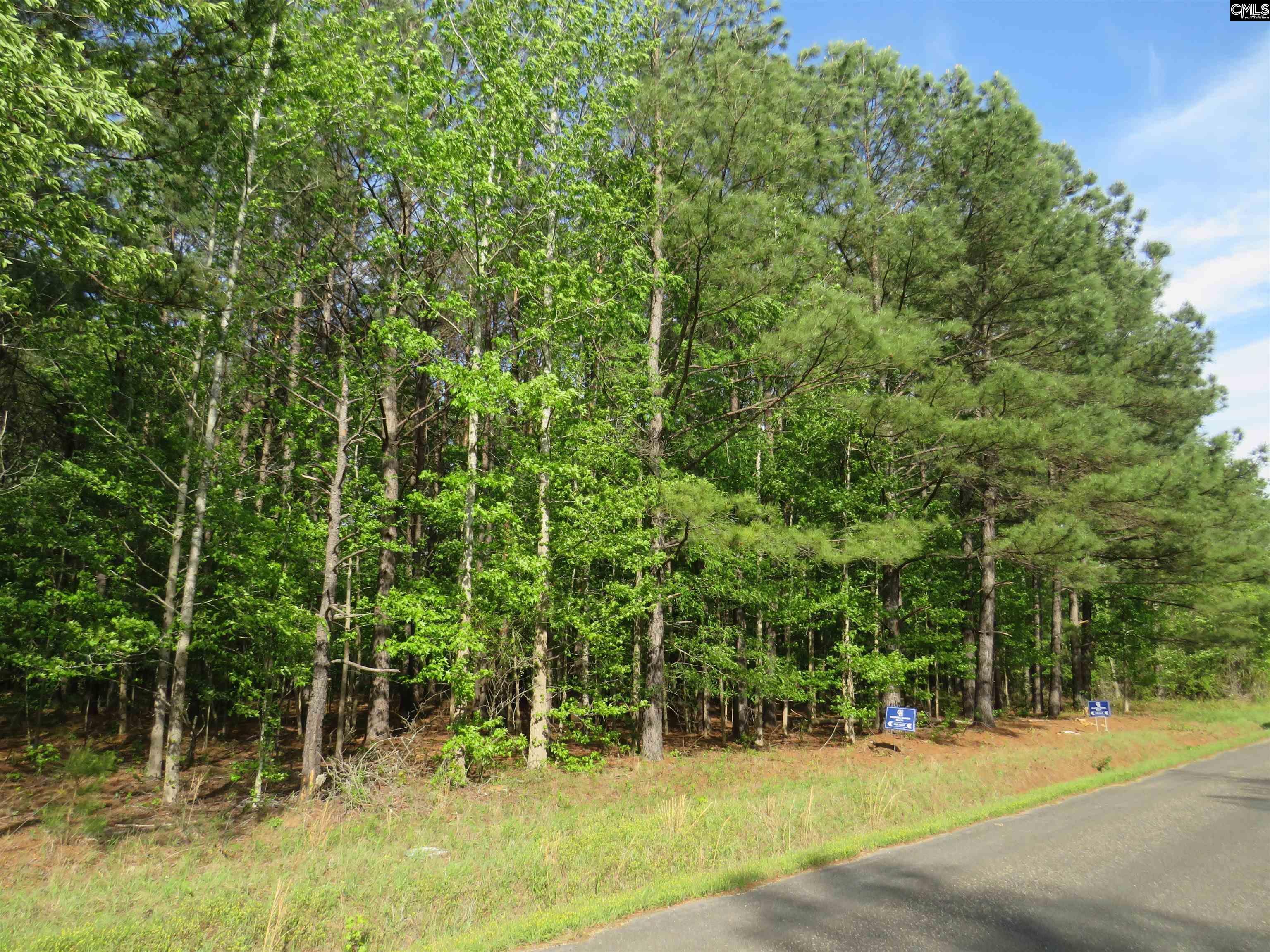 Property Photo: N/S Hallwood SC 29044