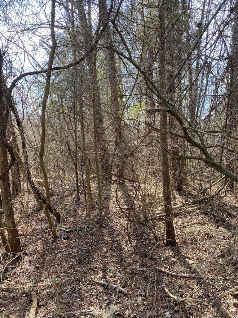 Property Photo:  1057 Palisades Court  KY 41519 