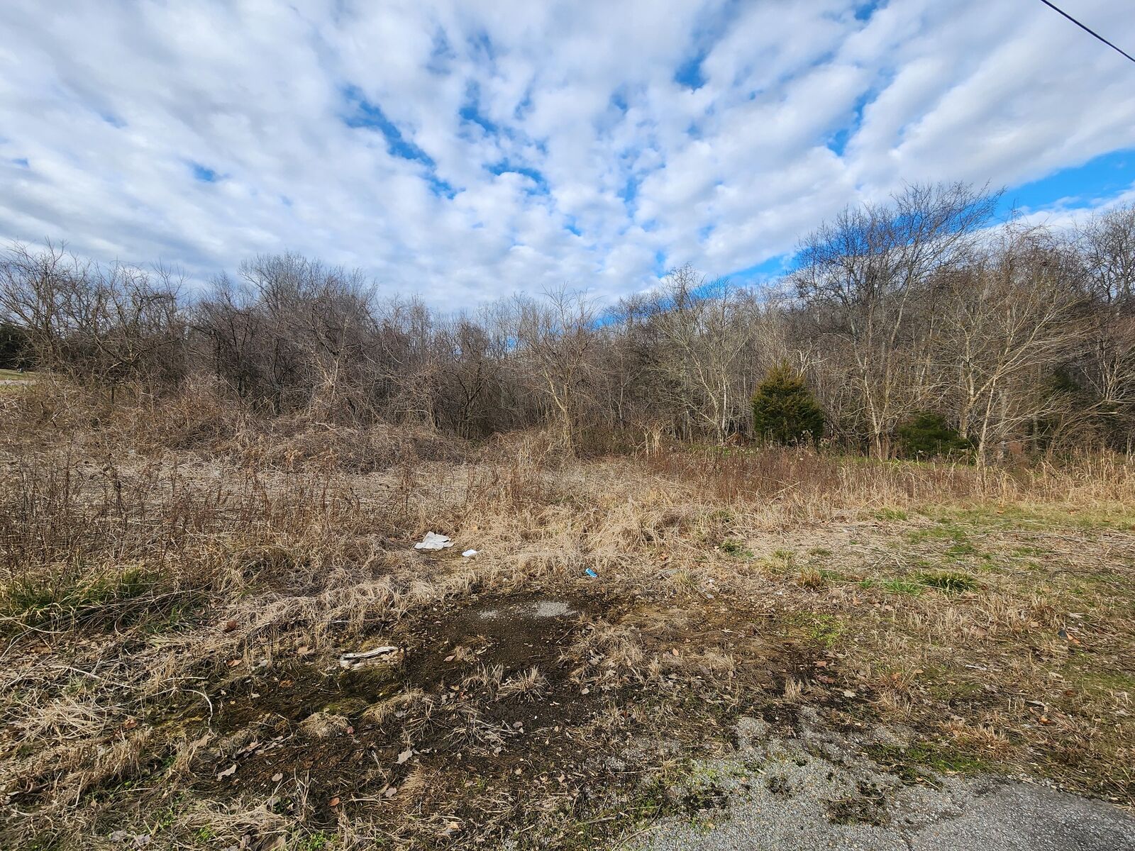 Property Photo: 0 Highway 13 TN 37142