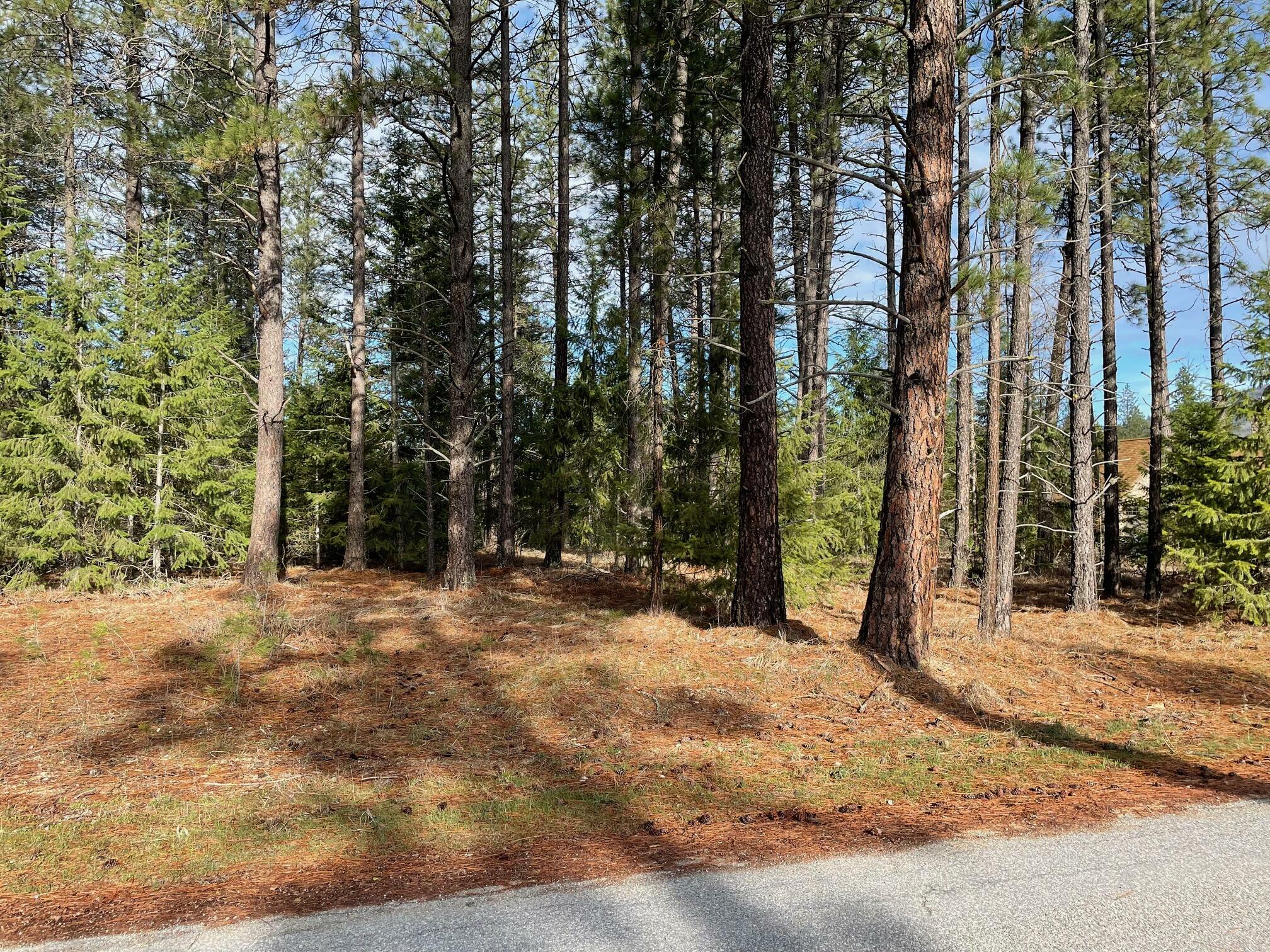 Property Photo: 268 Eagle Dr WA 99109
