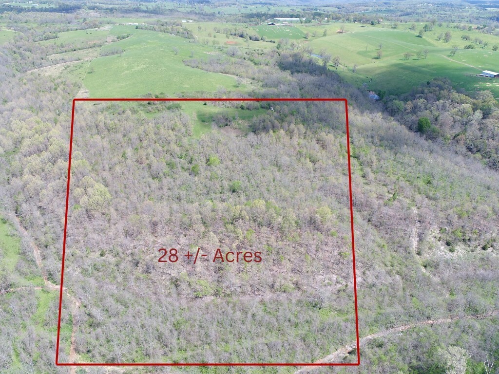 Property Photo:  Tbd Carroll Cr 818 Road  AR 72638 