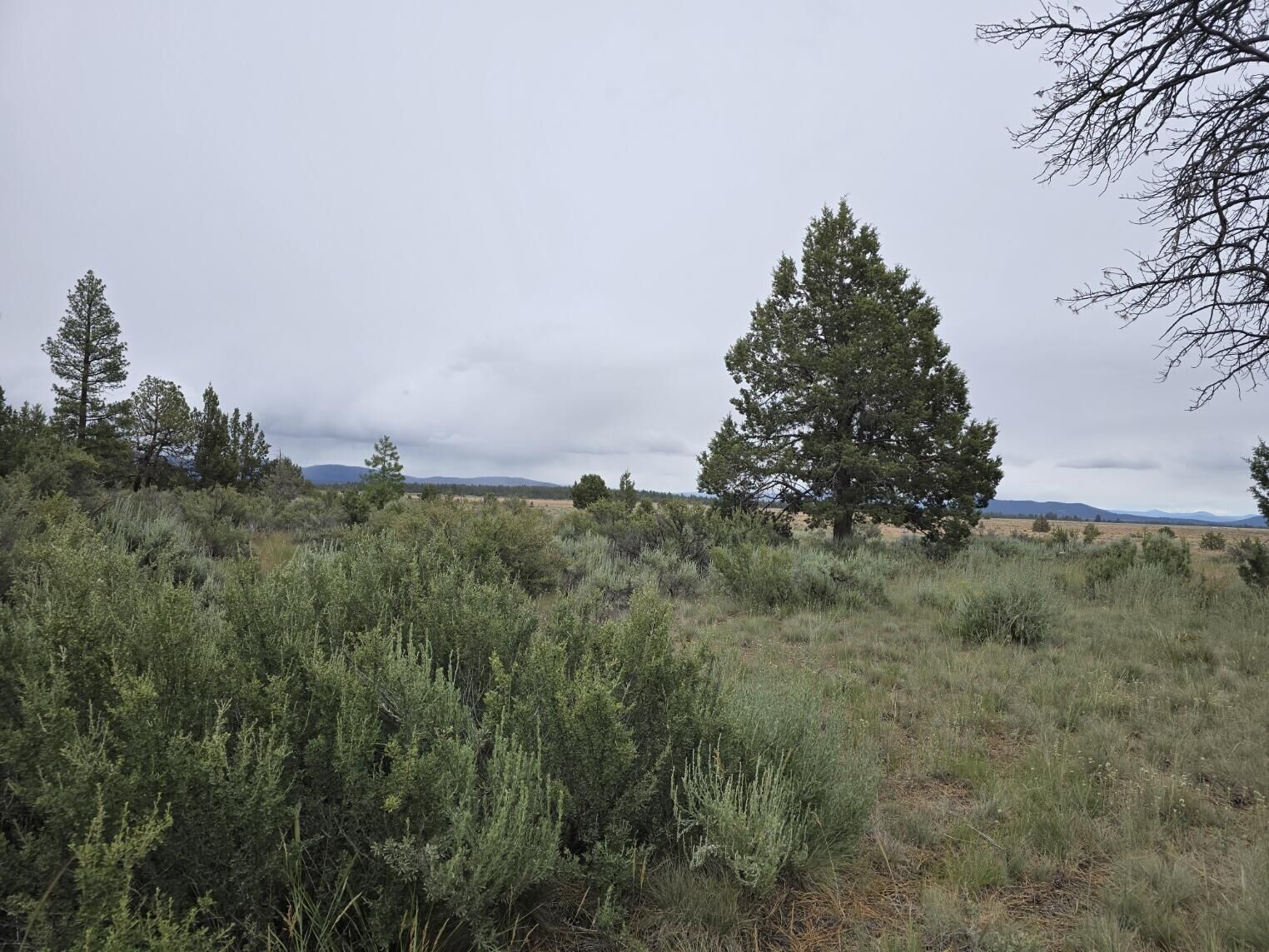 Property Photo: Tableland Road OR 97639