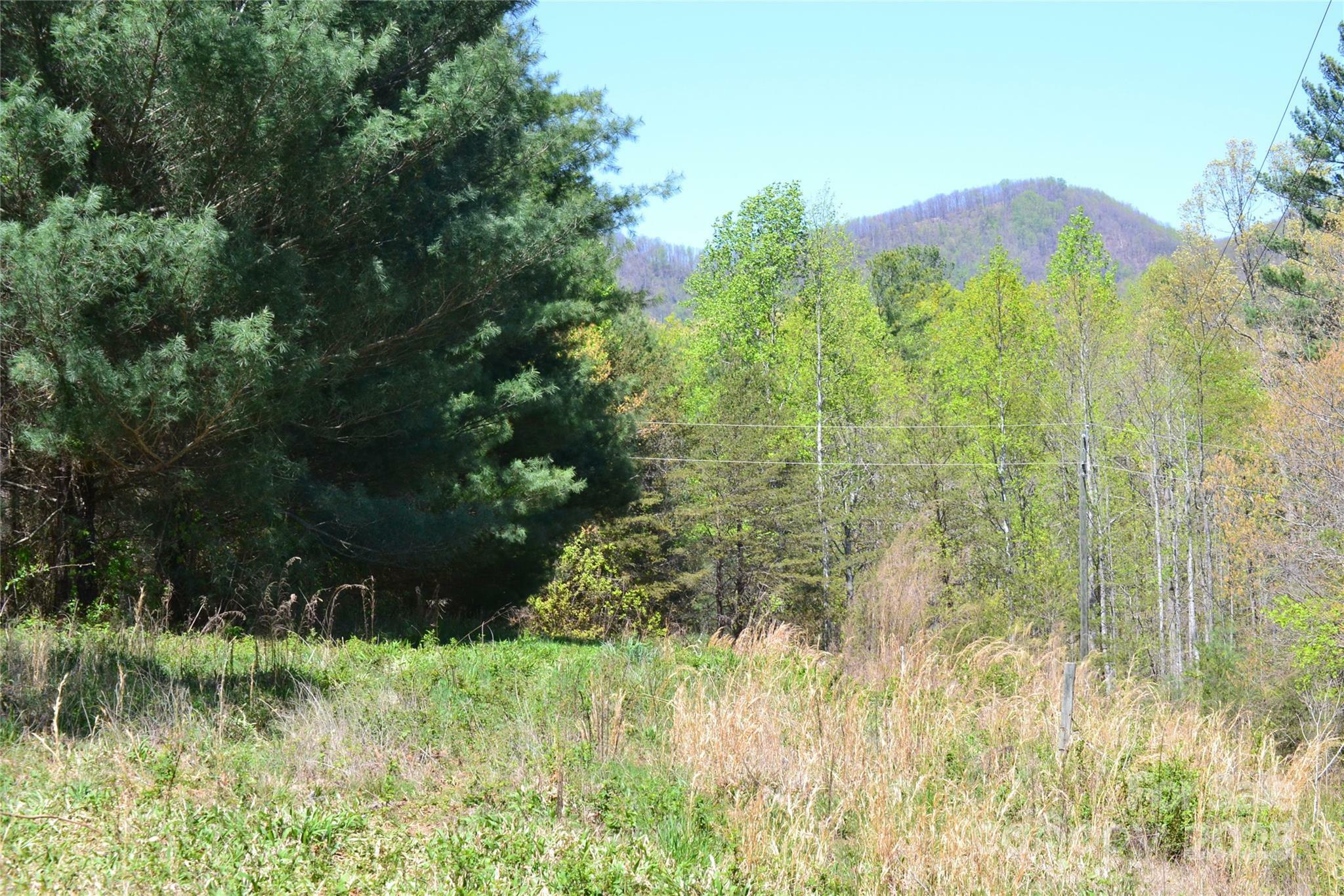 Property Photo: 00 Swaringen Road NC 28685