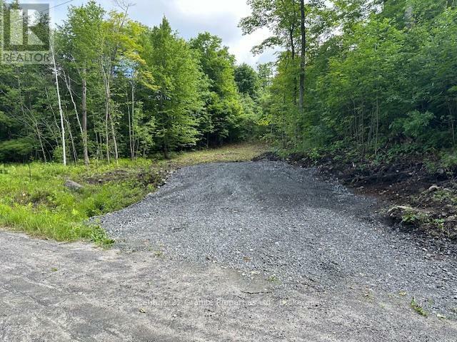4 McNaughts Road  Seguin ON P2A 0B2 photo