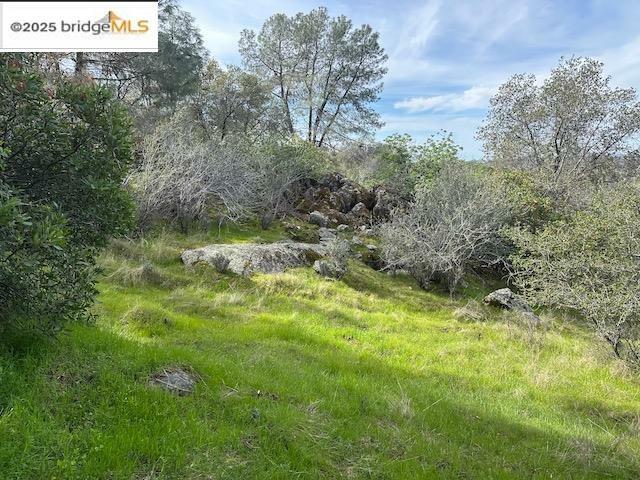 Property Photo: 13613 Joshua Way CA 95370