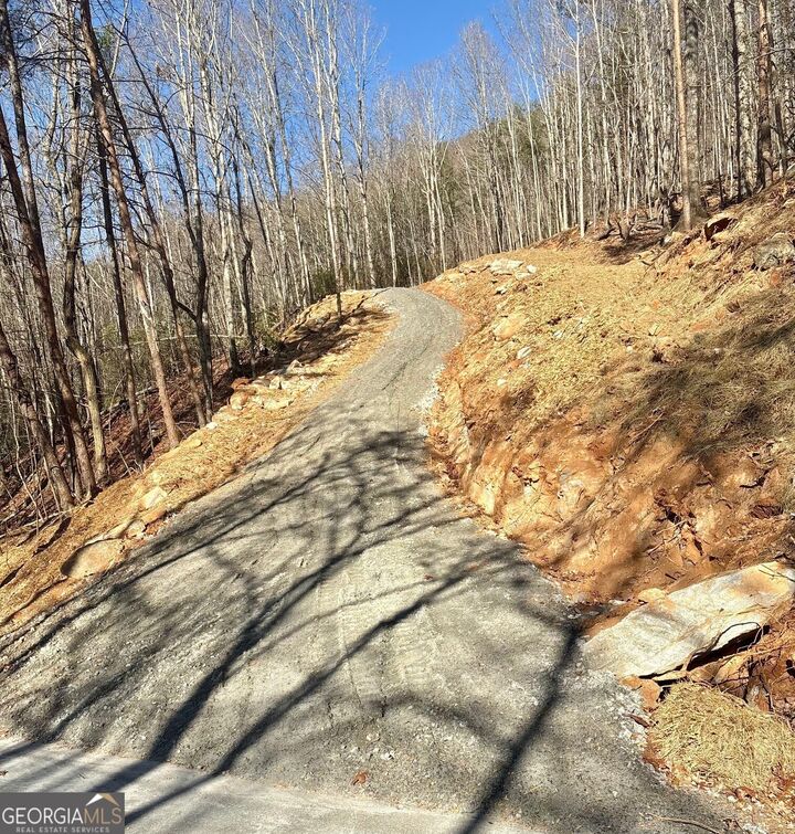 Property Photo:  28 B Sal Mountain Way  GA 30571 