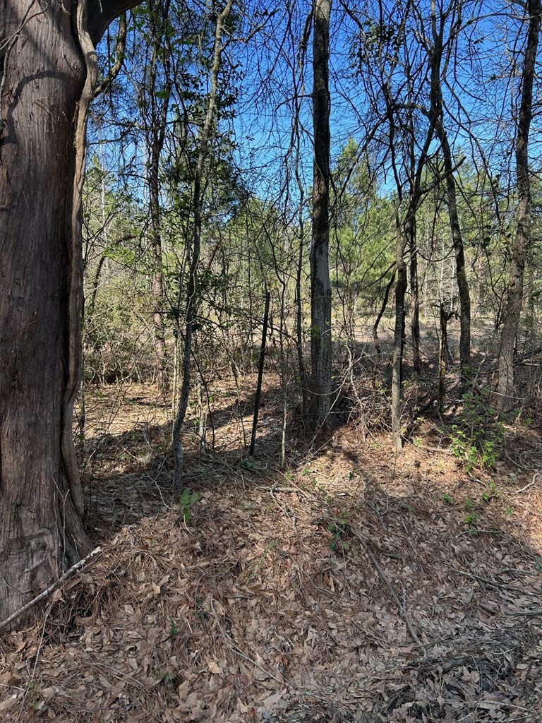 Property Photo: 184 Haddaway Lane TX 75901