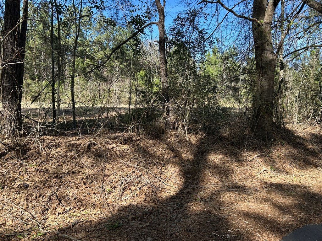 Property Photo: 214 Haddaway Lane TX 75901